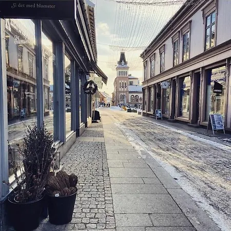 The Most Cozy Apartement In Tonsberg! テンスベル